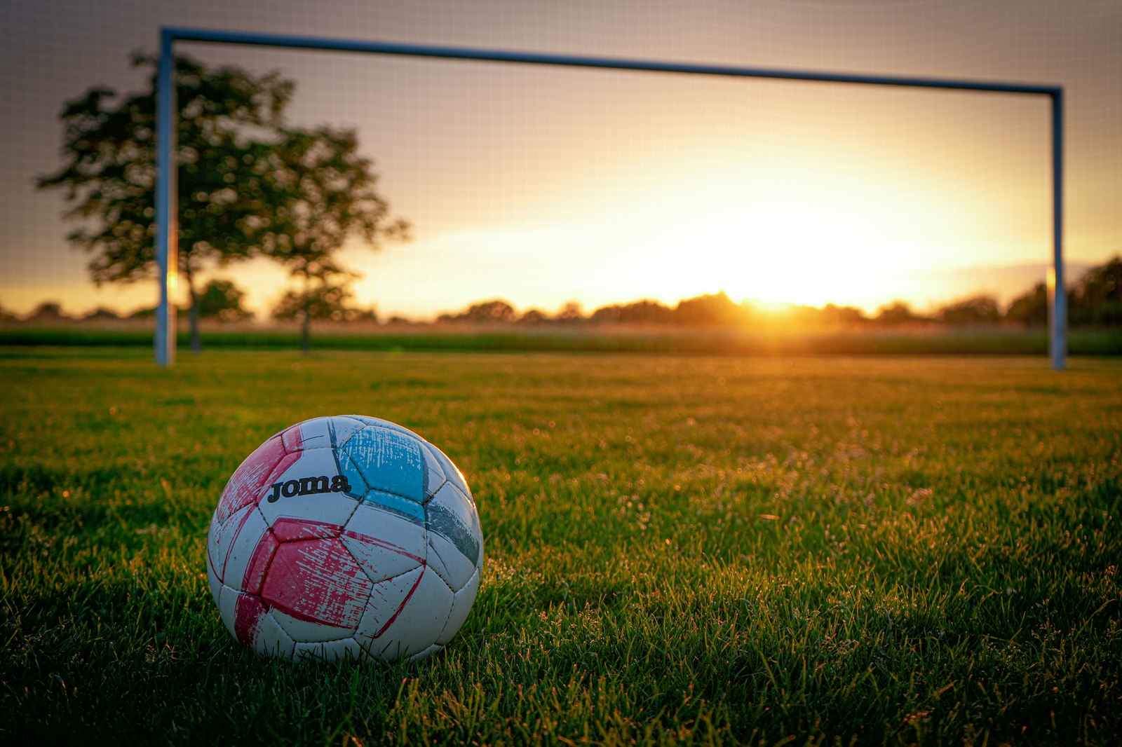 体育场景配图（资料示意）